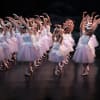 English Youth Ballet's performance of Swan Lake