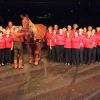 Some of The Lowry’s volunteers meet ‘Joey’ – the star of the National Theatre’s production of War Horse, which played at The Lowry in 2013 and 2014