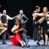 The Milonga company