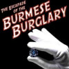 The Escapade of the Burmese Burglary