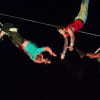 Gorilla Circus's The Altitude Show