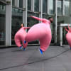 Compagnie Didier Theron’s AIR