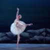 Chloe Keneally as Odette in My First Ballet: Swan Lake
