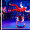 Dog Without Feathers, The Mother, ZooNation Youth Company