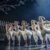 Swan Lake (Theatre Royal, Newcastle)