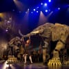 Circus 1903