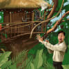 Christmas entertainment: Swiss Family Robinson