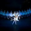 Swan Lake