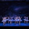 Cinderella: Artists of BRB as Stars