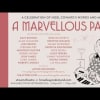 A Marvellous Party
