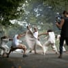 Alvin Ailey Dance Theater with Testament by Matthew Rushing which will be shown at the festival