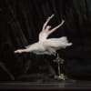 Natalia Osipova as Giselle