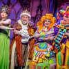 Abigail Finley (Fairy Lights), Howard Chadwick (King Darren), Morgan Brind (Nurse Nancy Nightley) and Richard Brindley (Mervin the Magician) in Sleeping Beauty at Derby Arena