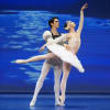 Swan Lake