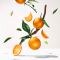 ROGER & GALLET - Bois D' Orange Wellbeing Fragrant Water Άρωμα με Εκχύλισμα Γλυκού & Πικρού Πορτοκαλιού - 30ml