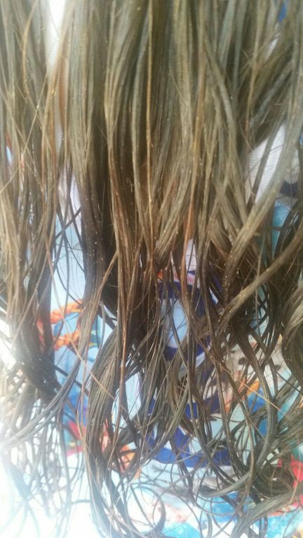 Cabelo