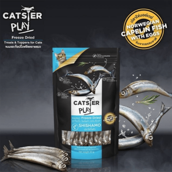 Catster แคทสเตอร์ เพลย์ ขนมฟรีซดราย รสปลา สำหรับแมว 40 g