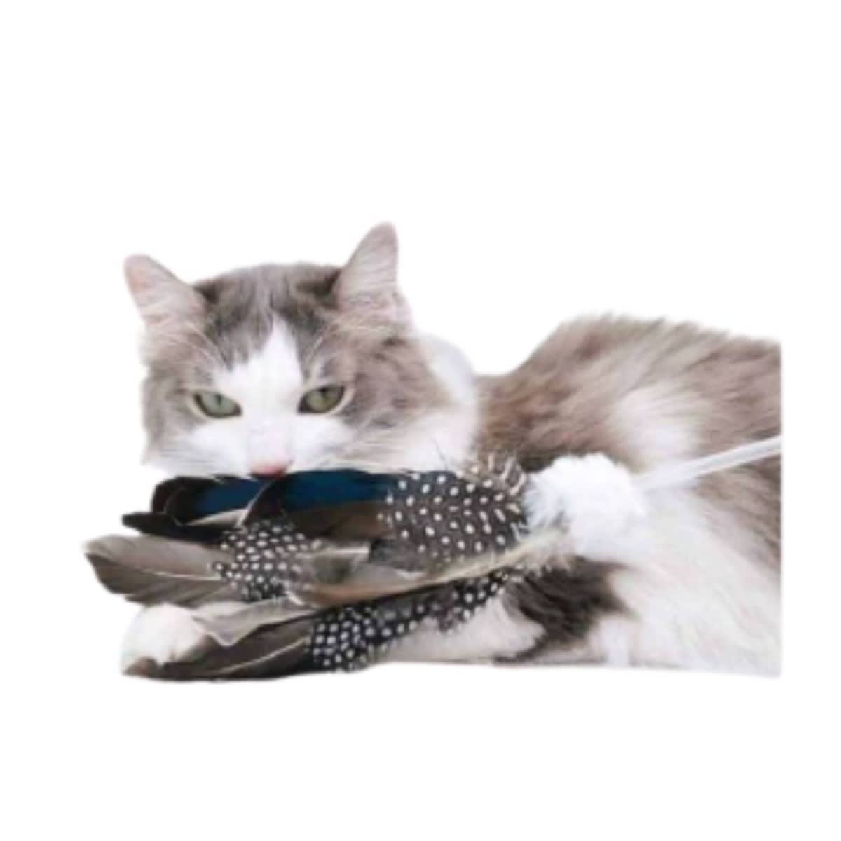 Hana Pet ฮานะ เพ็ท เบ็ดตกแมว รุ่นduck tin tin ทำจากขนนกธรรมชาติ สำหรับแมว