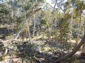 Lot 49 The High Forest Mount Clear Bredbo Nsw 2626