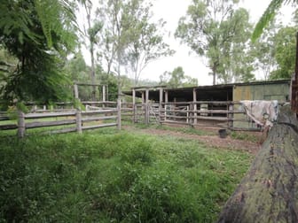 61 Morse Road, Raglan QLD 4697 - Rural & Farming For Sale