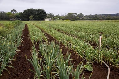 2102 Phillip Island Road Cowes VIC 3922 - Image 3