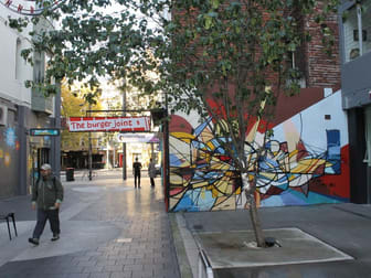 16/24-30 Springfield Avenue Potts Point NSW 2011 - Image 3