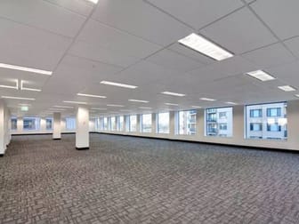 Various/33-35 Saunders street Pyrmont NSW 2009 - Image 3
