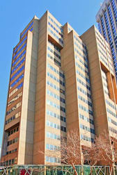 Level LG/227 Elizabeth Street Sydney NSW 2000 - Image 1