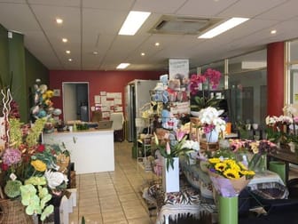 2/303 Penshurst Street Willoughby NSW 2068 - Image 3