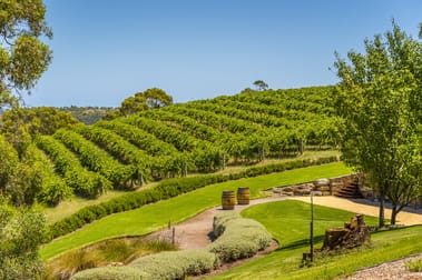 Restaurant/Accommodation at Ch/Chapel Hill & Chaffe Roads Mclaren Vale SA 5171 - Image 2