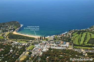 2/55 Old Barrenjoey Road Avalon Beach NSW 2107 - Image 1