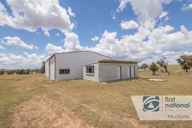 116 Abbatoirs Road Mudgee NSW 2850 - Image 2