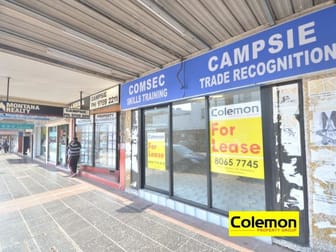 311 Beamish Street Campsie NSW 2194 - Image 2