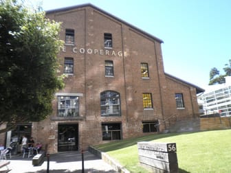 203/56 Bowman Street Pyrmont NSW 2009 - Image 1
