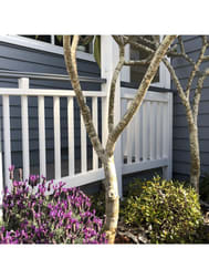 Suite 2/98 Lake Road Port Macquarie NSW 2444 - Image 2
