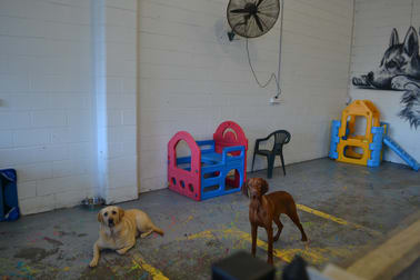 4/22 Industry Dr Tweed Heads South NSW 2486 - Image 3