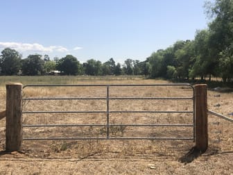 Cranfield Paddocks Raworth Street Singleton NSW 2330 - Image 1