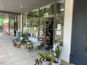 238 Boundary Road Dromana VIC 3936 - Image 1