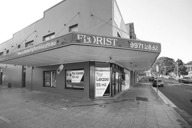 Level G, 2/8 Fisher Road Dee Why NSW 2099 - Image 1