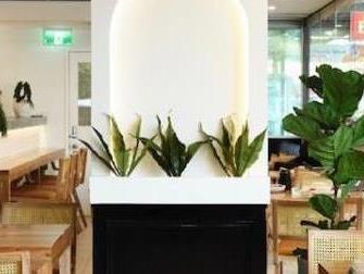 Click to view all images Shop 5/4-8 Darley Road Manly NSW 2095 - Image 3