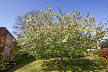 1A Crimea Street Balaclava NSW 2575 - Image 2