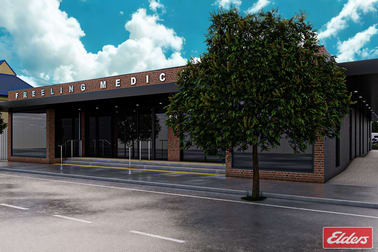 6 Hanson Street Freeling SA 5372 - Image 1