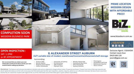 6 Alexander Street Auburn NSW 2144 - Image 2