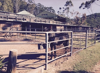 53 Lady Carrington Drive Otford NSW 2508 - Image 1