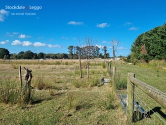 265 Hodgins Road Hastings VIC 3915 - Image 2