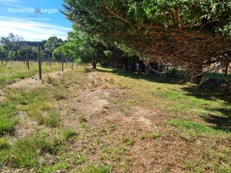 265 Hodgins Road Hastings VIC 3915 - Image 3