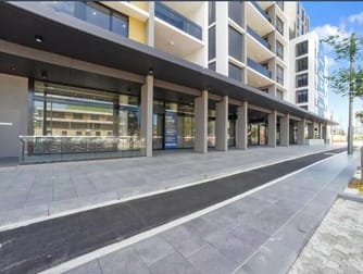 811 Elizabeth Street Zetland NSW 2017 - Image 2