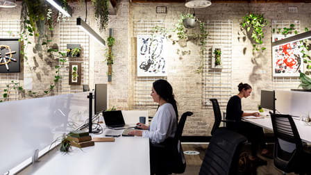 Suite 2/137-141 BRIDGE ROAD Glebe NSW 2037 - Image 3