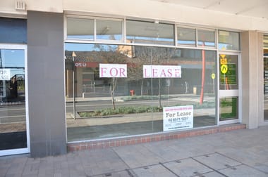 SHOP 3/133 JOHN STREET Singleton NSW 2330 - Image 1