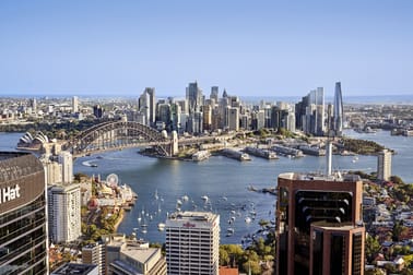 155 Miller Street North Sydney NSW 2060 - Image 3